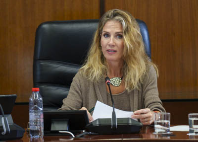 La presidenta del Parlamento de Andaluc�a, Ana Mestre, en una de sus intervenciones en la Diputaci�n Permanente 