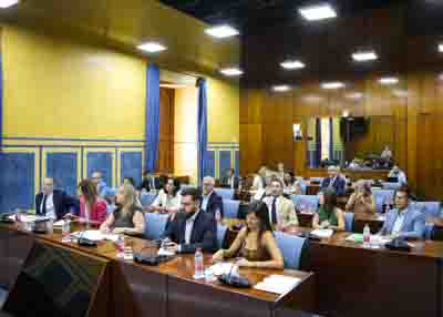 Diputados de la Comisi�n de Control de la Agencia P�blica Empresarial de la Radio y Televisi�n de Andaluc�a y de sus Sociedades Filiales