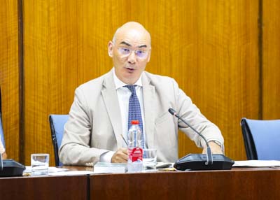 El letrado mayor del Parlamento, Manuel Carrasco, en una de sus intervenciones de hoy  