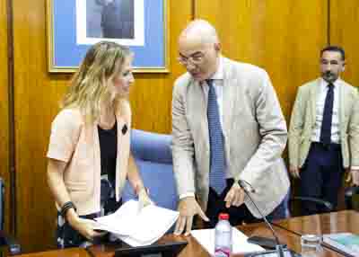 La presidenta del Parlamento y el letrado mayor al inicio de una de las sesiones de constituci�n 