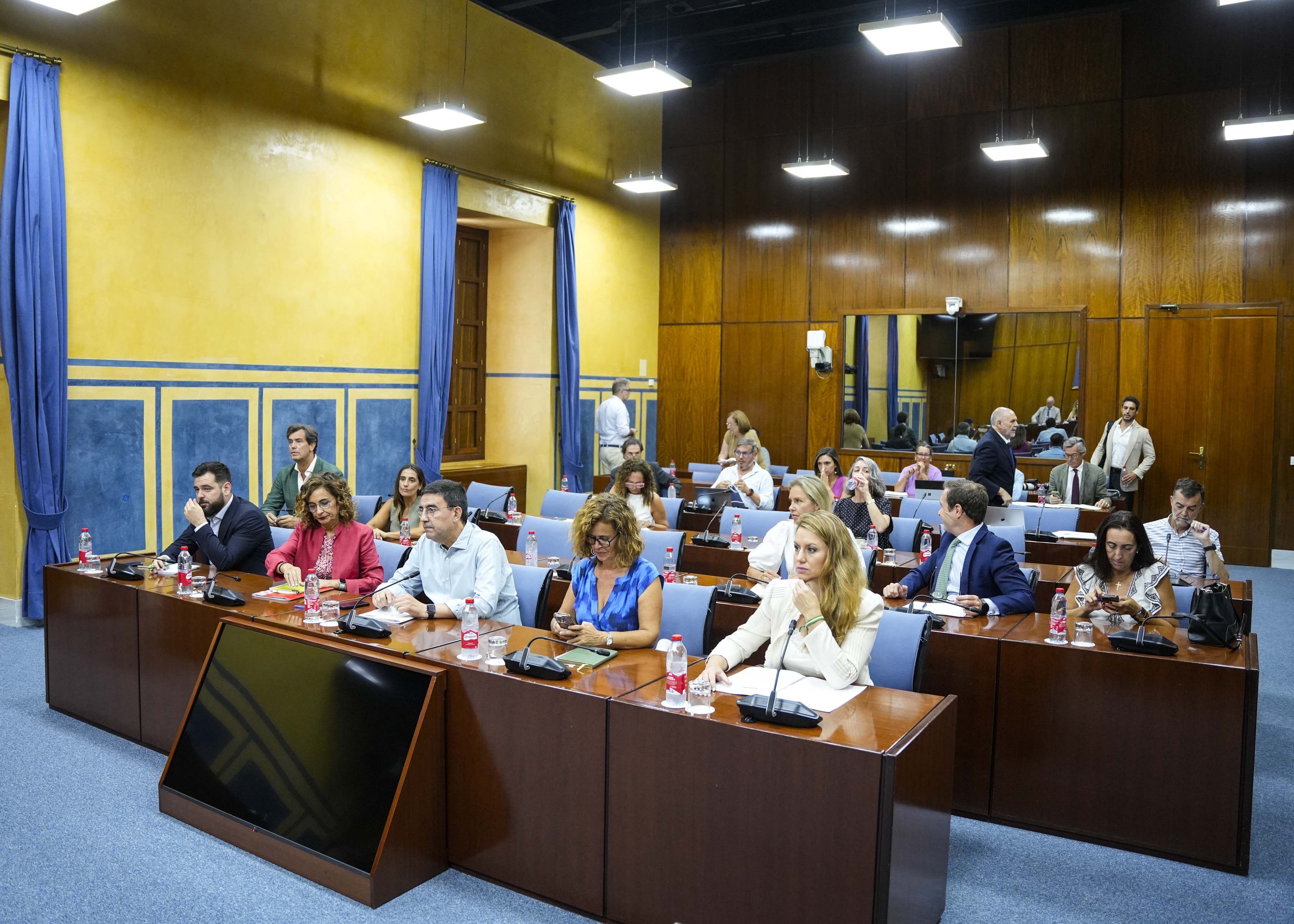 Comisi�n de Desarrollo Estatutario al inicio de la sesi�n 