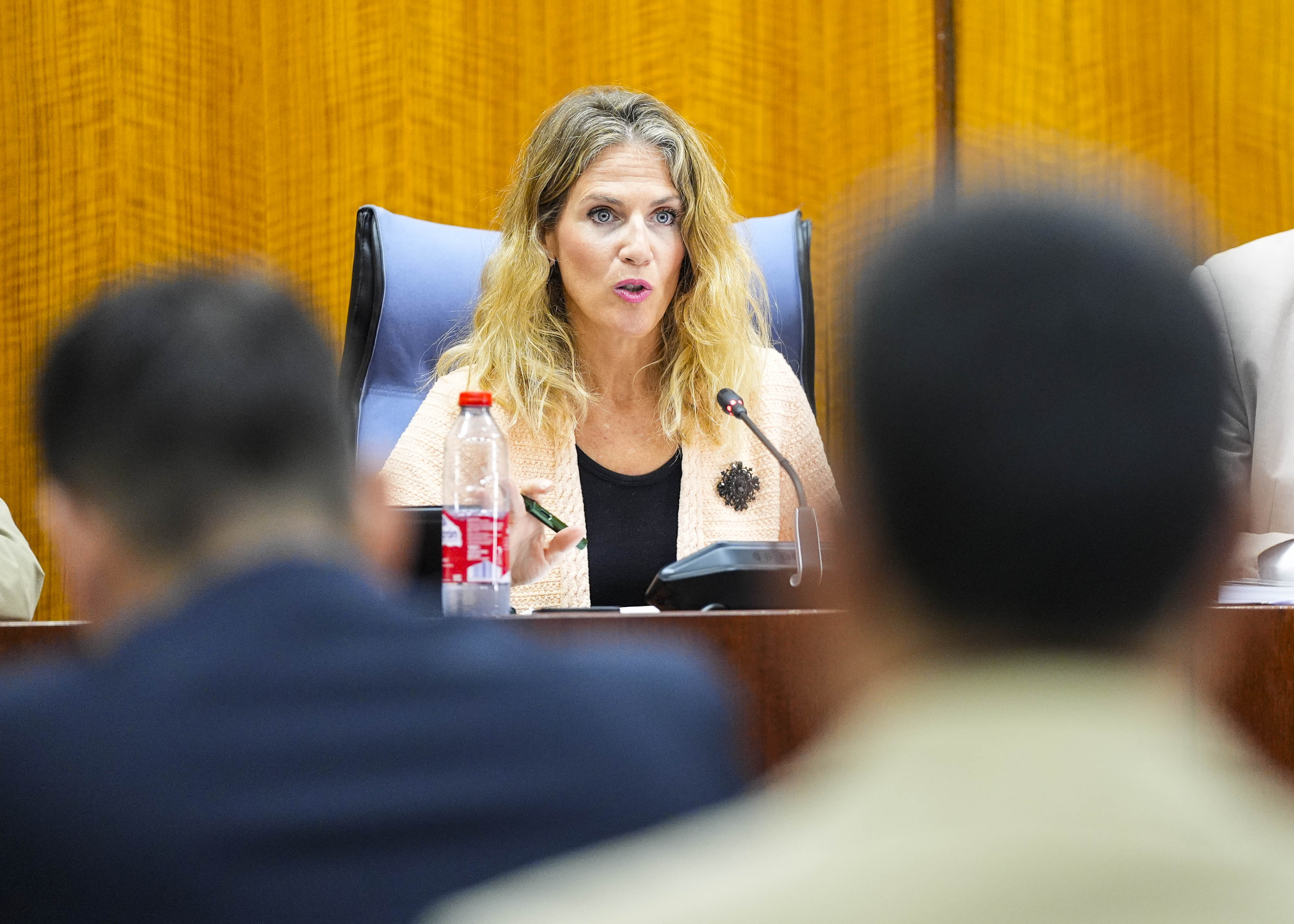 Ana Mestre, presidenta de la C�mara andaluza, ha presidido la constituci�n de todas las comisiones en el d�a de hoy 