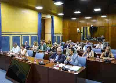 Inicio de la constituci�n de la Comisi�n de Cultura, Patrimonio Hist�rico y Deporte