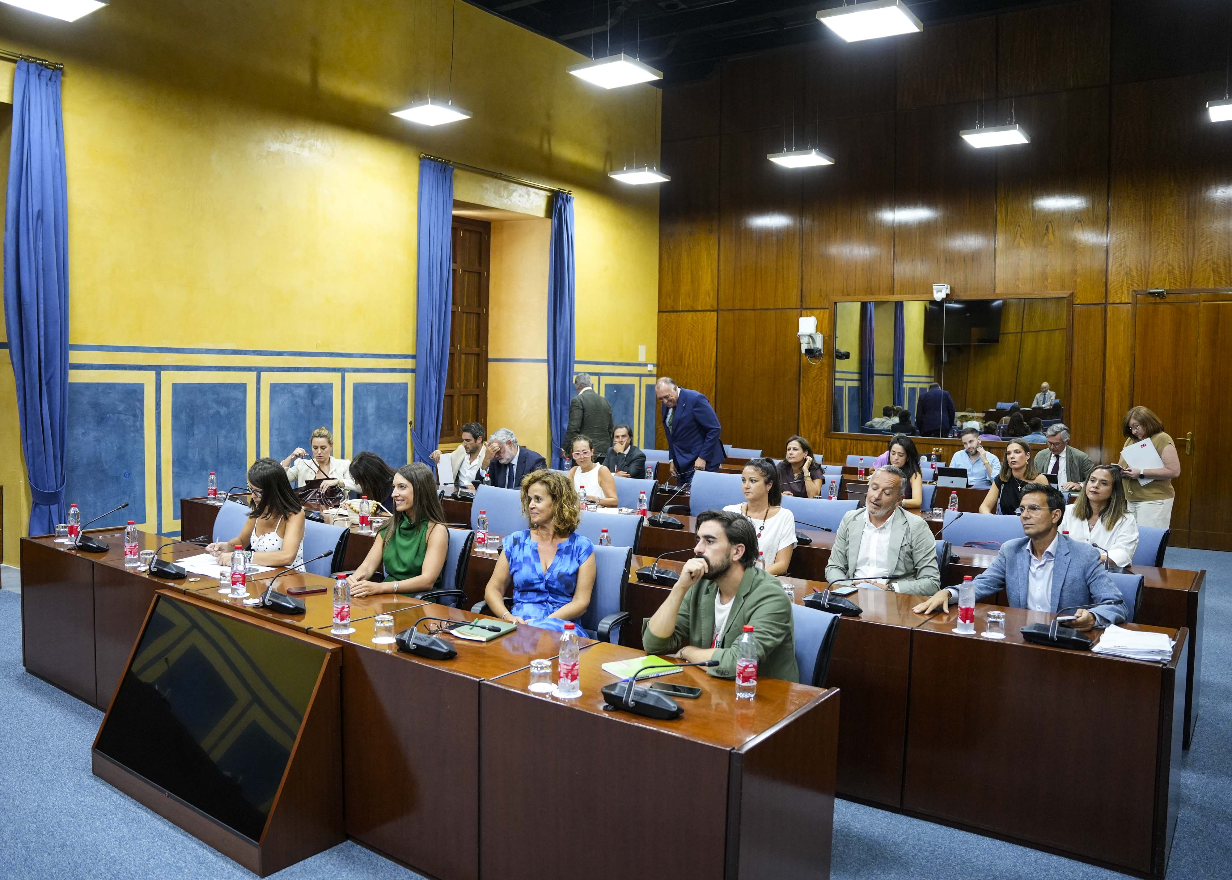  Los diputados de la Comisi�n de Inteligencia Artificial, Desarrollo Digital y Administraci�n P�blica al inicio
