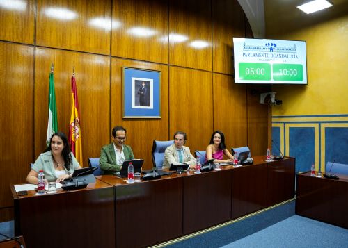  Mesa de la comisi�n de Inteligencia Artificial, Desarrollo Digital y Administraci�n P�blica