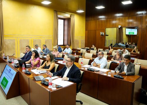  Miembros de la comisi�n de Sostenibilidad y Medio Ambiente en la sesi�n de hoy