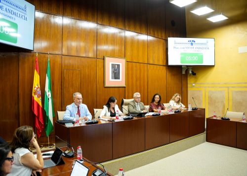  Mesa de la comisi�n de Sostenibilidad y Medio Ambiente