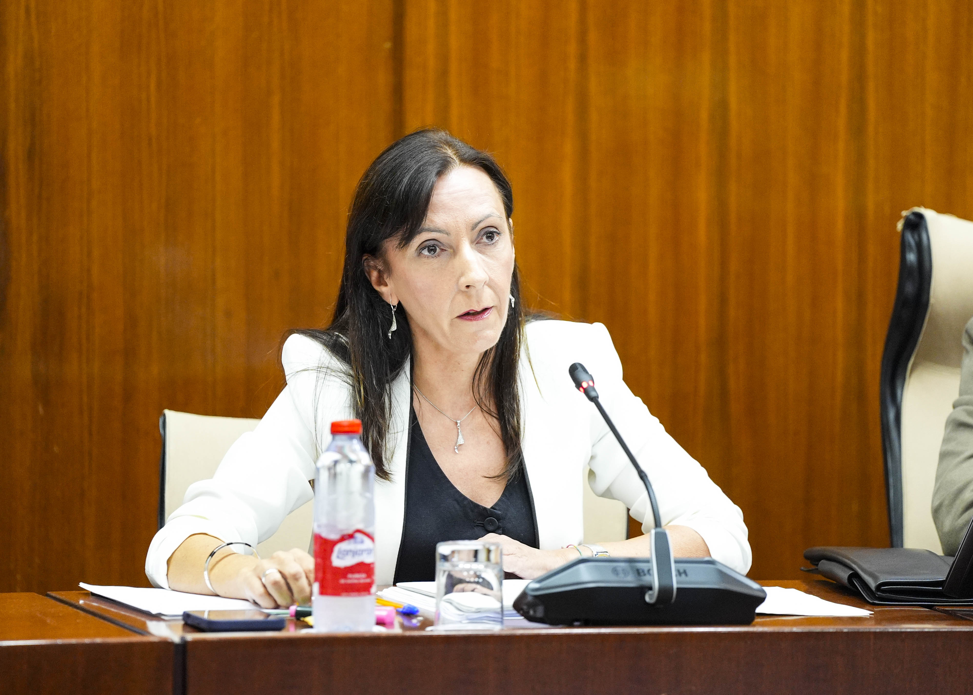  La consejera de Sostenibilidad y Medio Ambiente, Adolfina Mart�nez, explica las l�neas fundamentales de su consejer�a