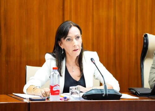  La consejera de Sostenibilidad y Medio Ambiente, Adolfina Mart�nez, explica las l�neas fundamentales de su consejer�a