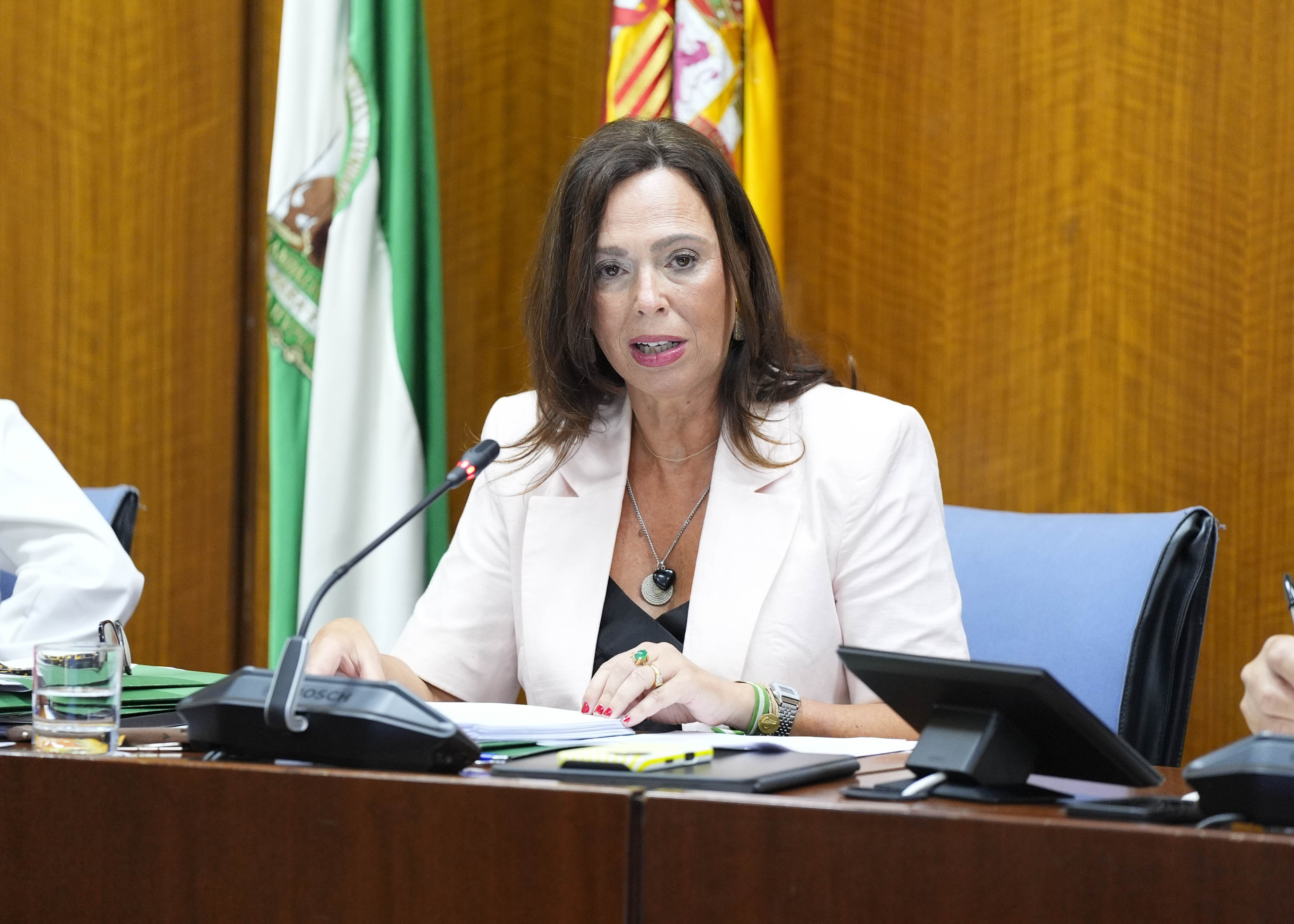  La consejera de Vivienda, Juventud y Ordenaci�n del Territorio, Roc�o D�az, comparece en comisi�n