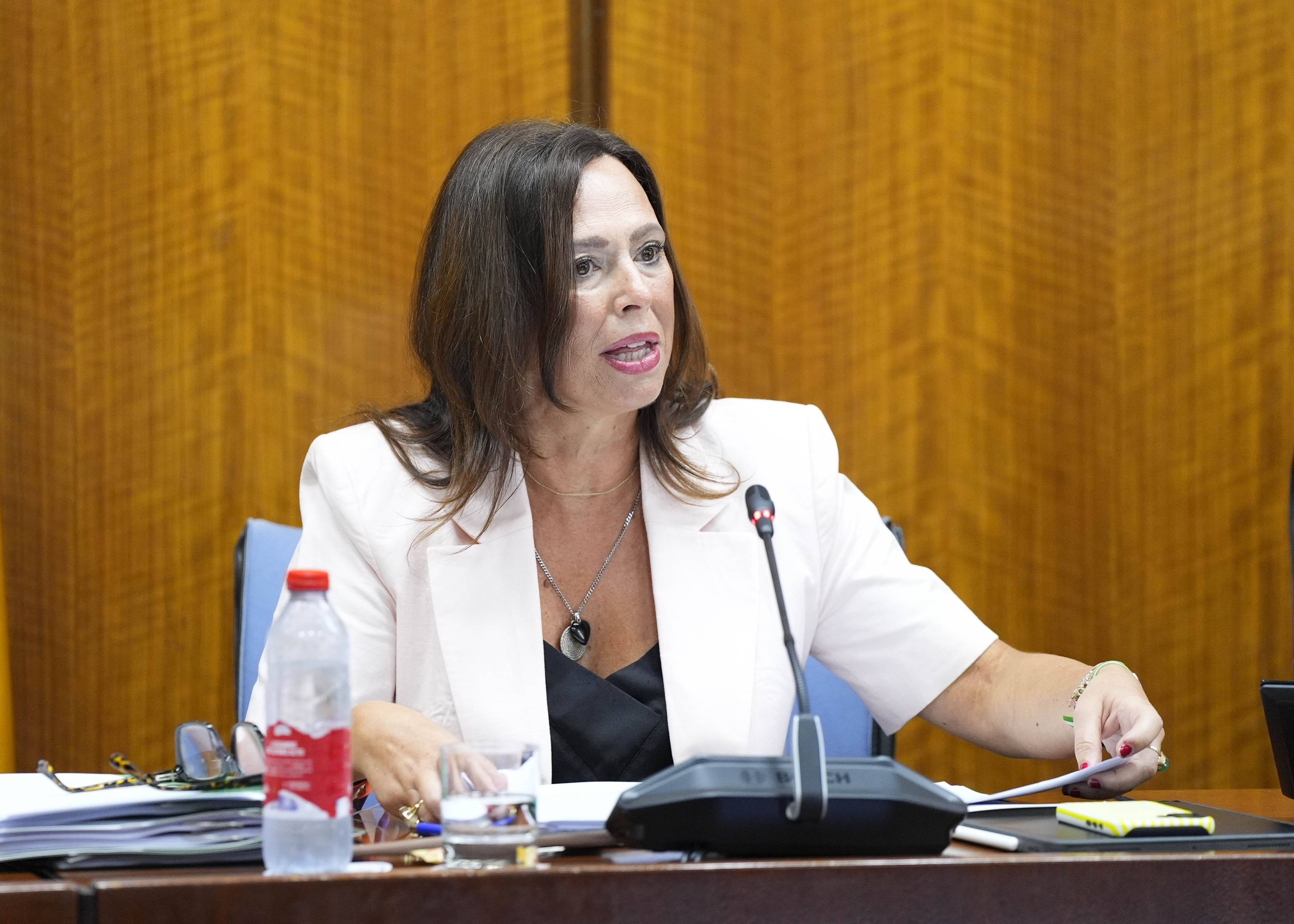  Roc�o D�az en un momento de su comparecencia