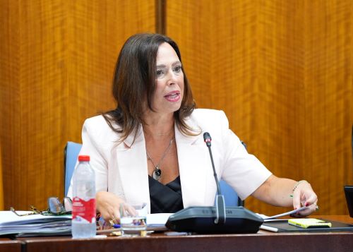  Roc�o D�az en un momento de su comparecencia
