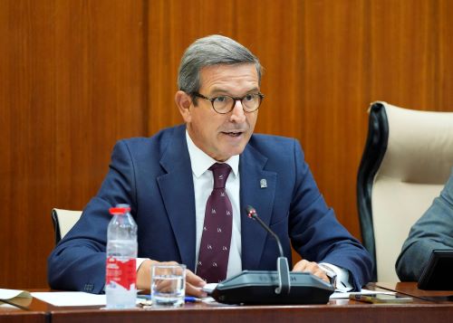  Jorge Paradela, consejero de Universidad, Industria, Energ�a e Innovaci�n, comparece en comisi�n