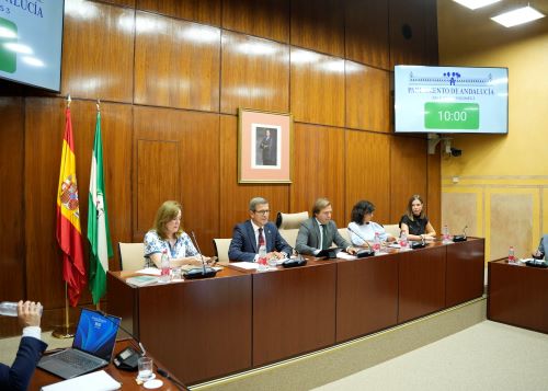  Mesa de la comisi�n de Universidad, Industria, Energ�a e Innovaci�n