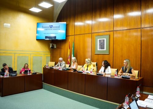  Mesa de la comisi�n de Cultura, Patrimonio Hist�rico y Deporte con la presencia de la consejera