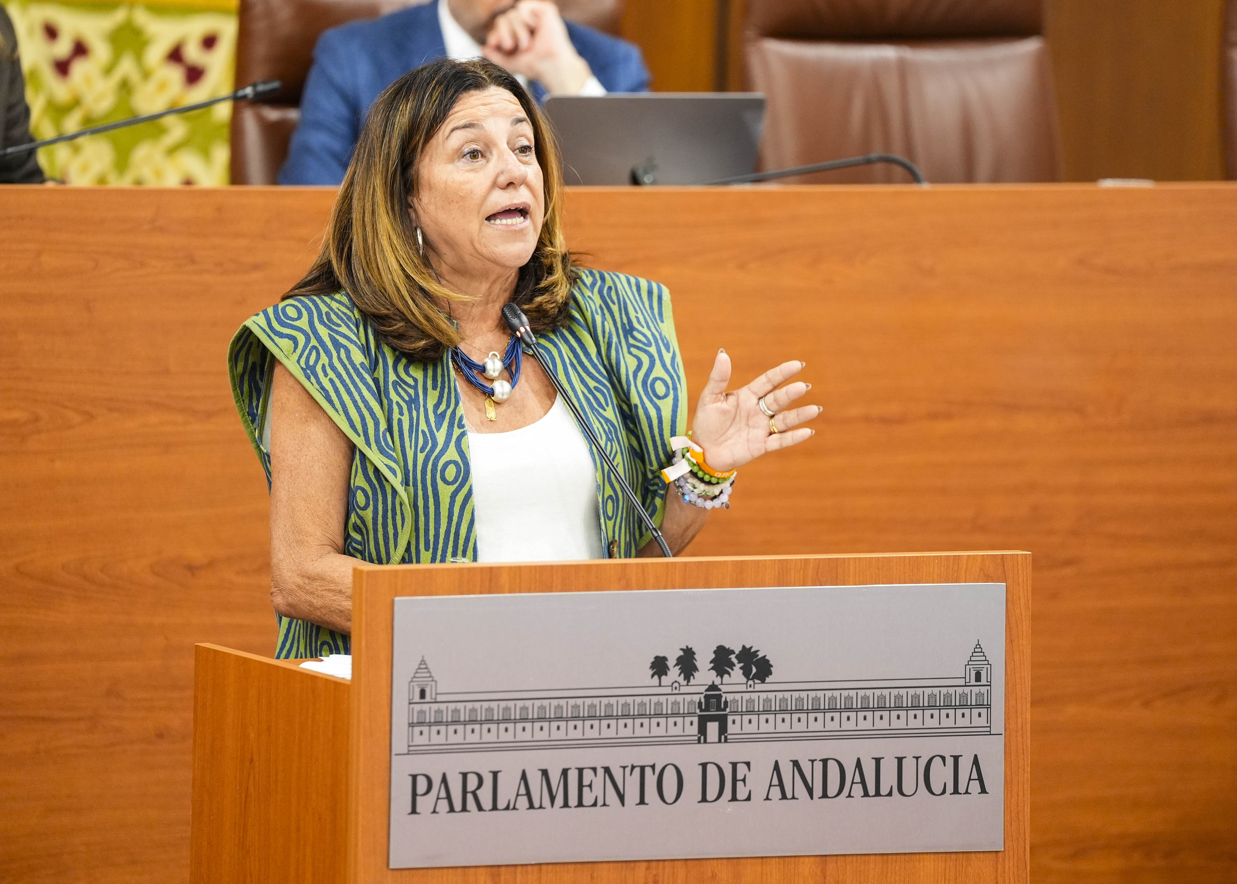 Mar�a del Carmen Castillo, consejera de Educaci�n de la Junta de Andaluc�a, cierra con su intervenci�n el orden del d�a del pleno de hoy 
