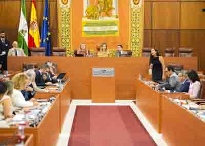  La consejera Loles L�pez responde en el Pleno a la pregunta del Grupo Parlamentario Vox