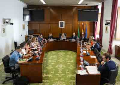   Ana Mestre preside la Junta de Portavoces
