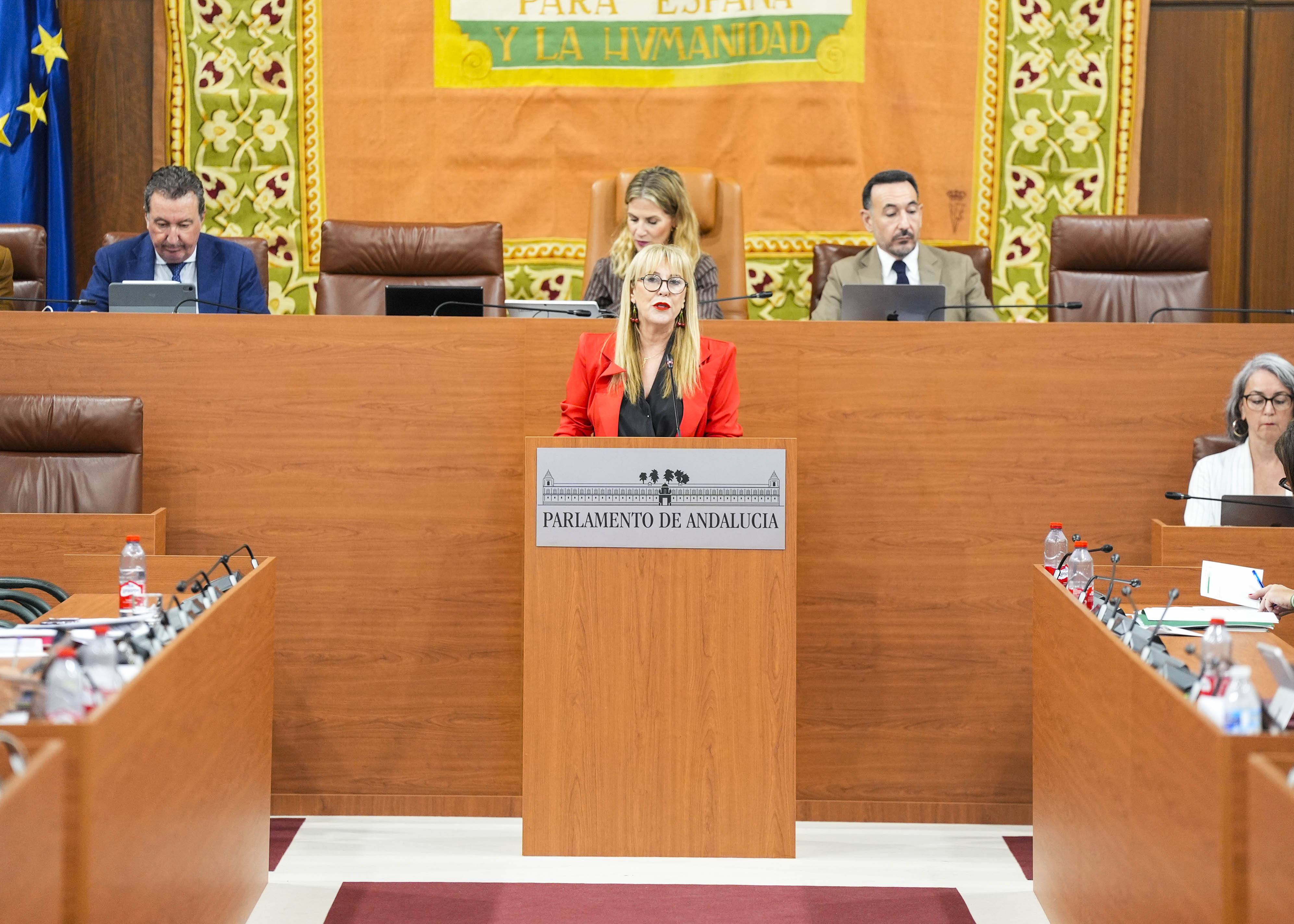  La consejera Carolina Espa�a debate con los grupos pol�ticos