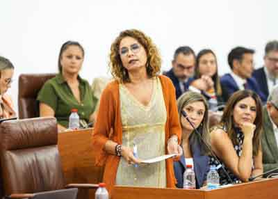 La portavoz socialista Mar�a Jes�s Montero interviene en el Pleno
