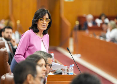  La diputada popular Susana Cayuelas interviene en el Pleno