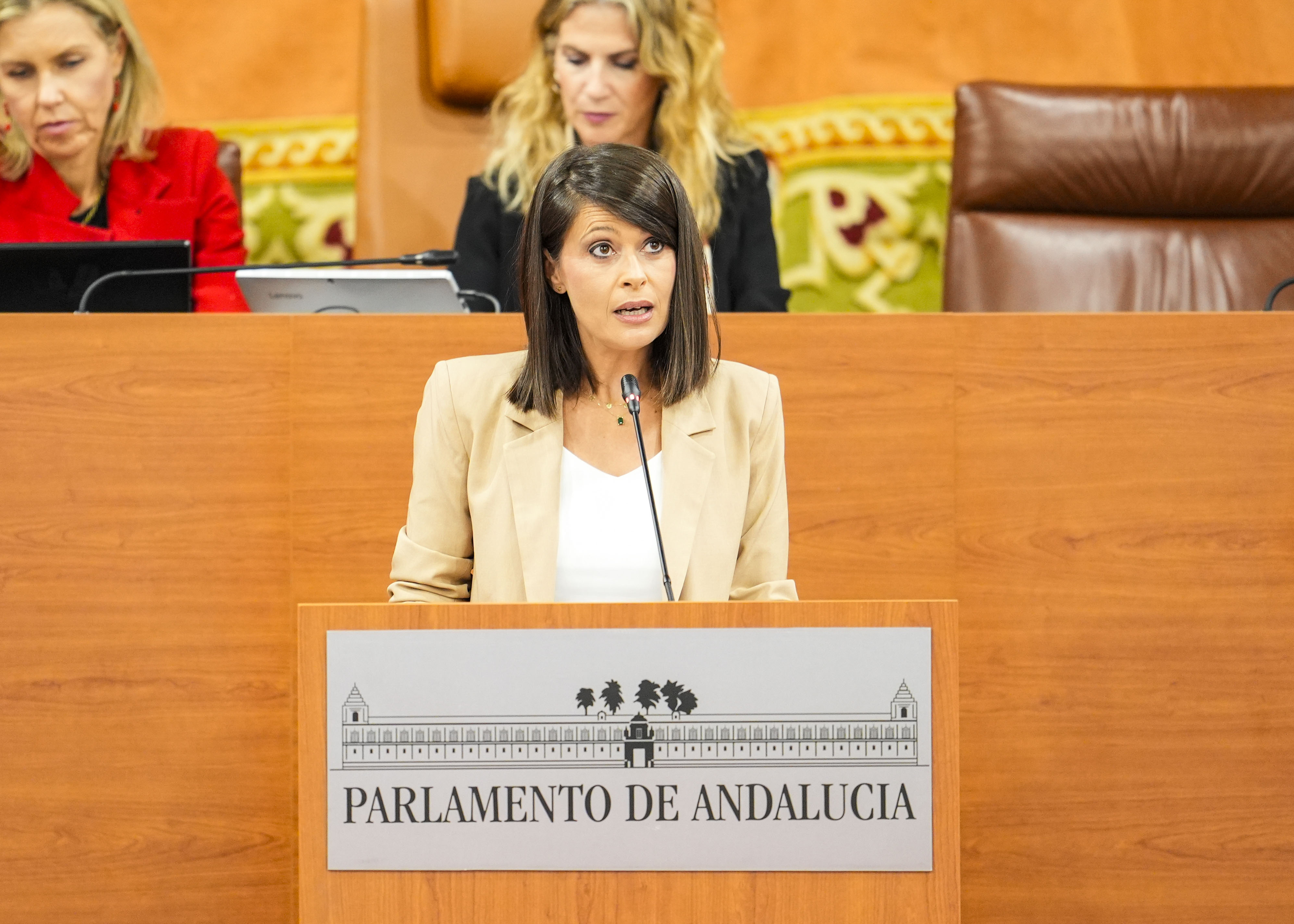  La diputada popular �ngeles Mart�nez presenta la PNL sobre centros de datos