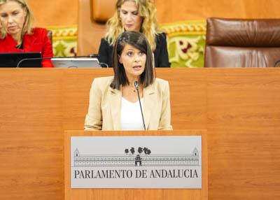  La diputada popular �ngeles Mart�nez presenta la PNL sobre centros de datos
