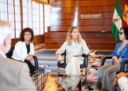  Ana Mestre en el encuentro con CERMI