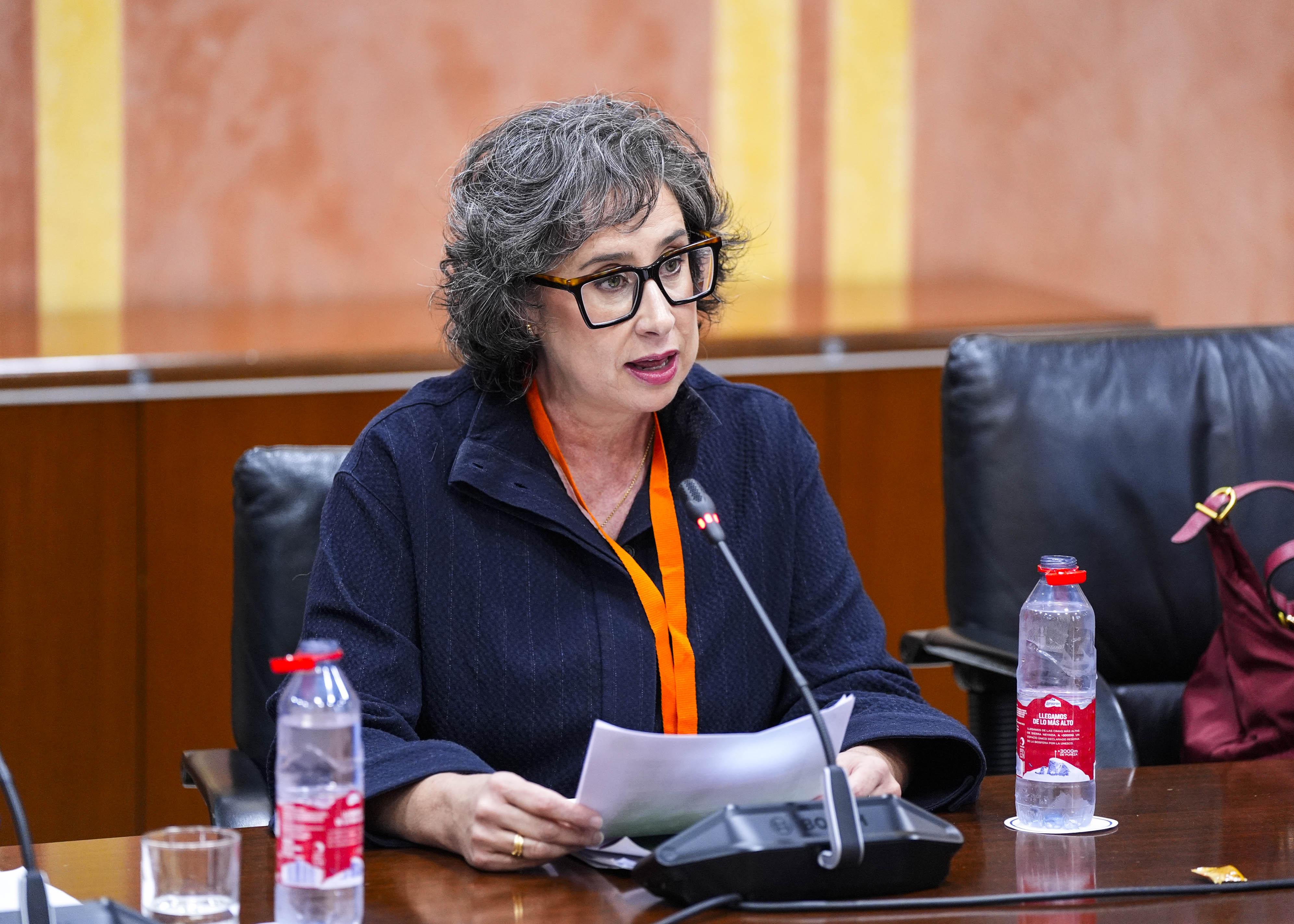  Carmen Jim�nez de CSIF en la Comisi�n de Sanidad