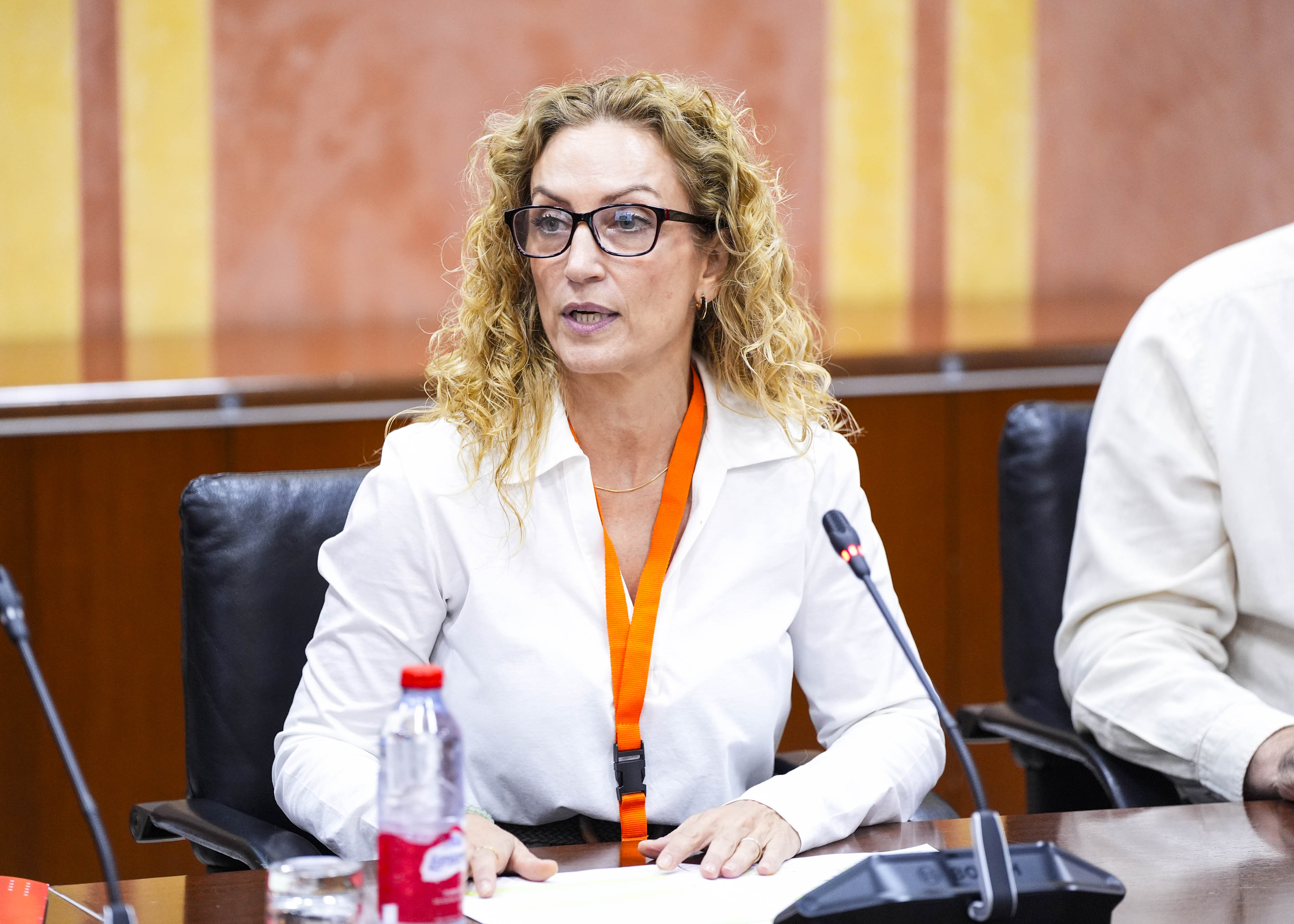  Nuria Mart�nez Barco de CCOO interviene para valorar la ILP de calidad en el sistema sanitario