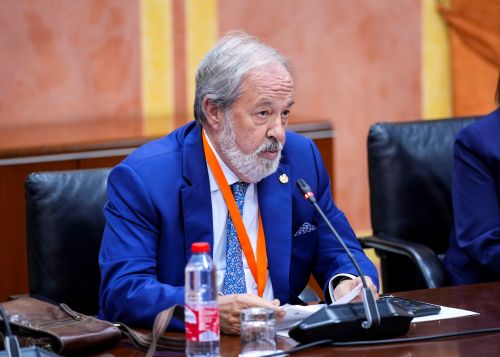  Alfonso Carmona, presidente del Consejo Andaluz de Colegios de M�dicos 