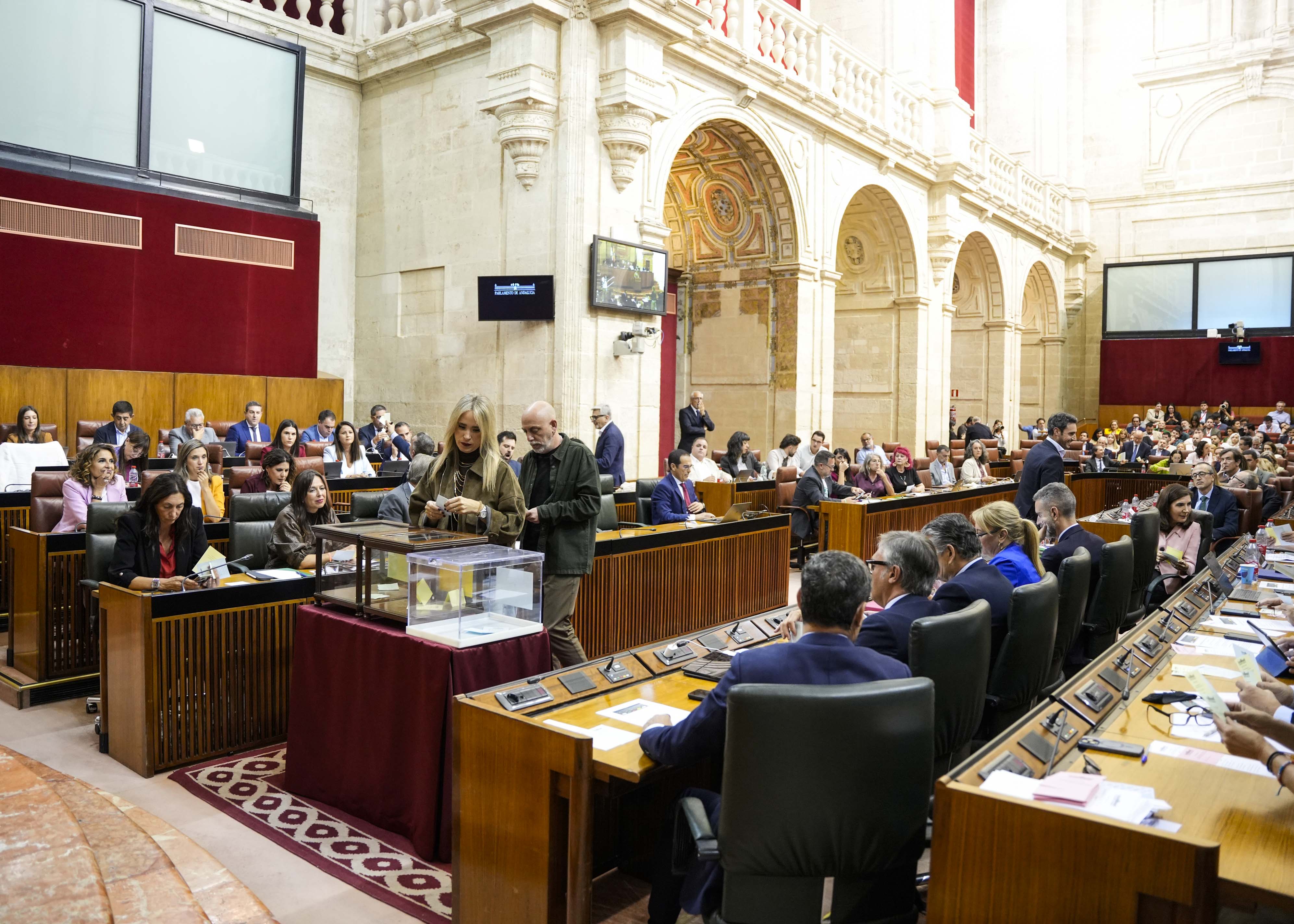 Vista del sal�n de plenos durante una de las votaciones 