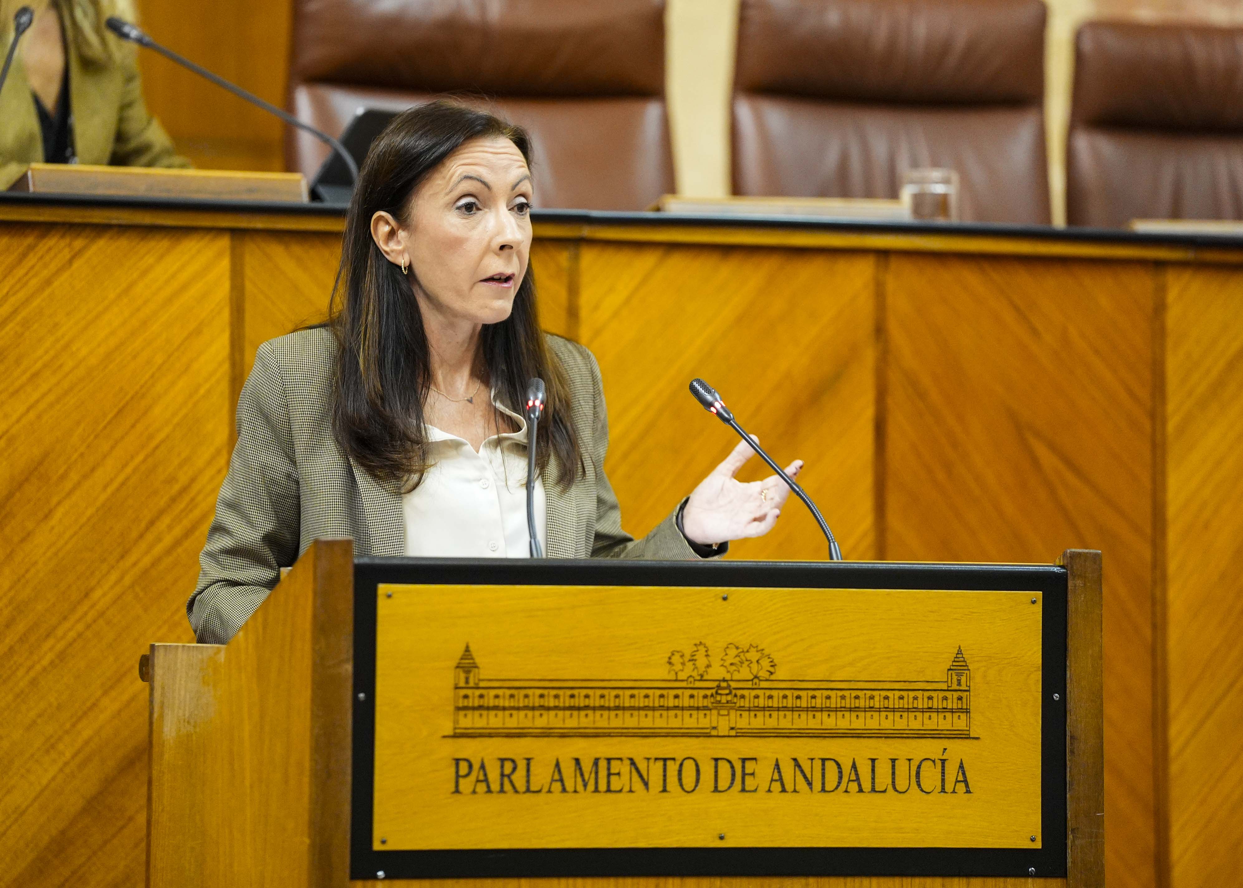 La consejera de Sostenibilidad y Medio Ambiente, Fina Mart�nez, contesta a la interpelaci�n de Adelante Andaluc�a