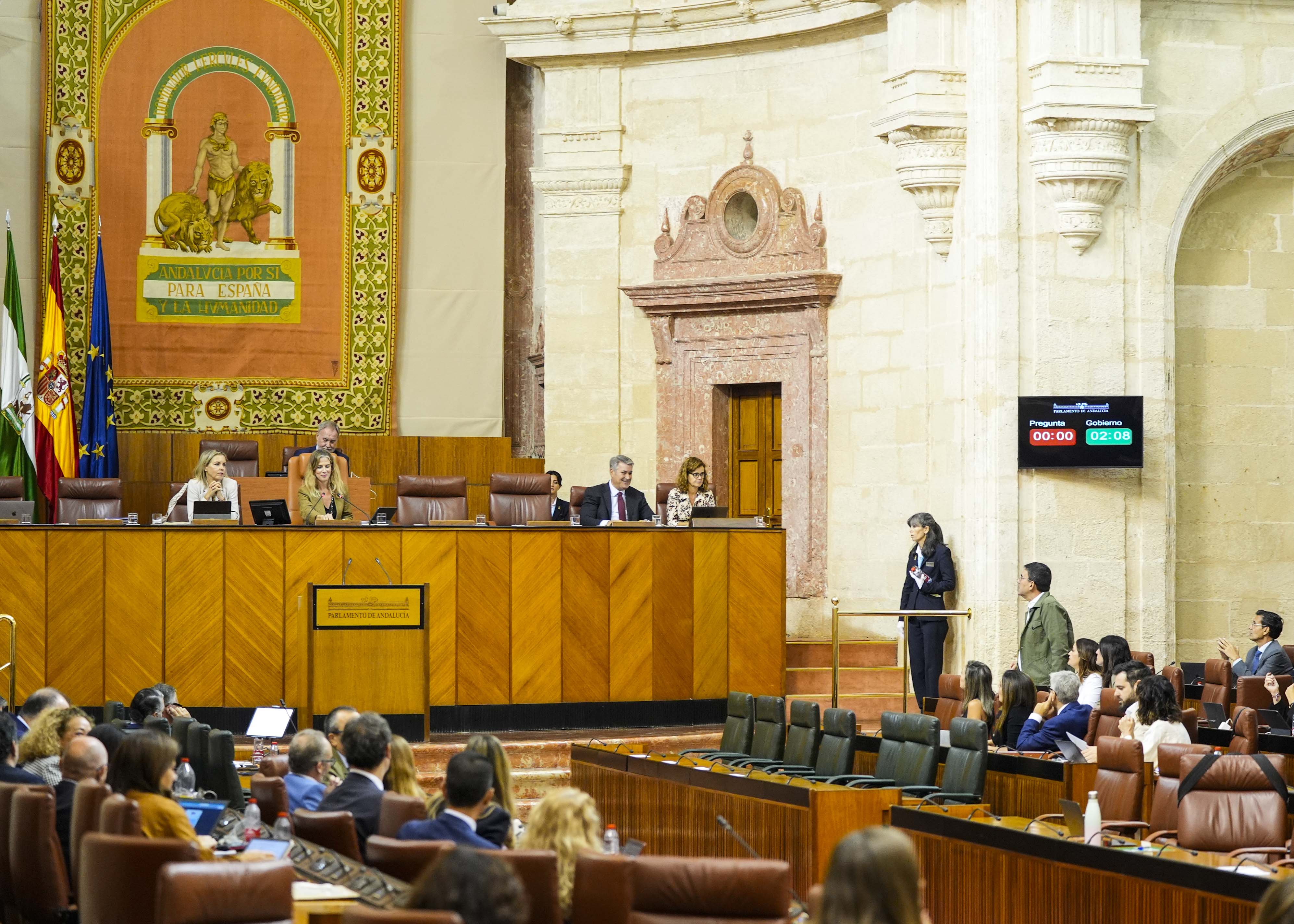 El Pleno durante las preguntas orales al Consejo de Gobierno