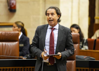  El diputado de Vox Benito Morillo formula su pregunta al Gobierno