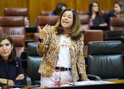 La consejera de Educaci�n responde a las preguntas orales en el Pleno