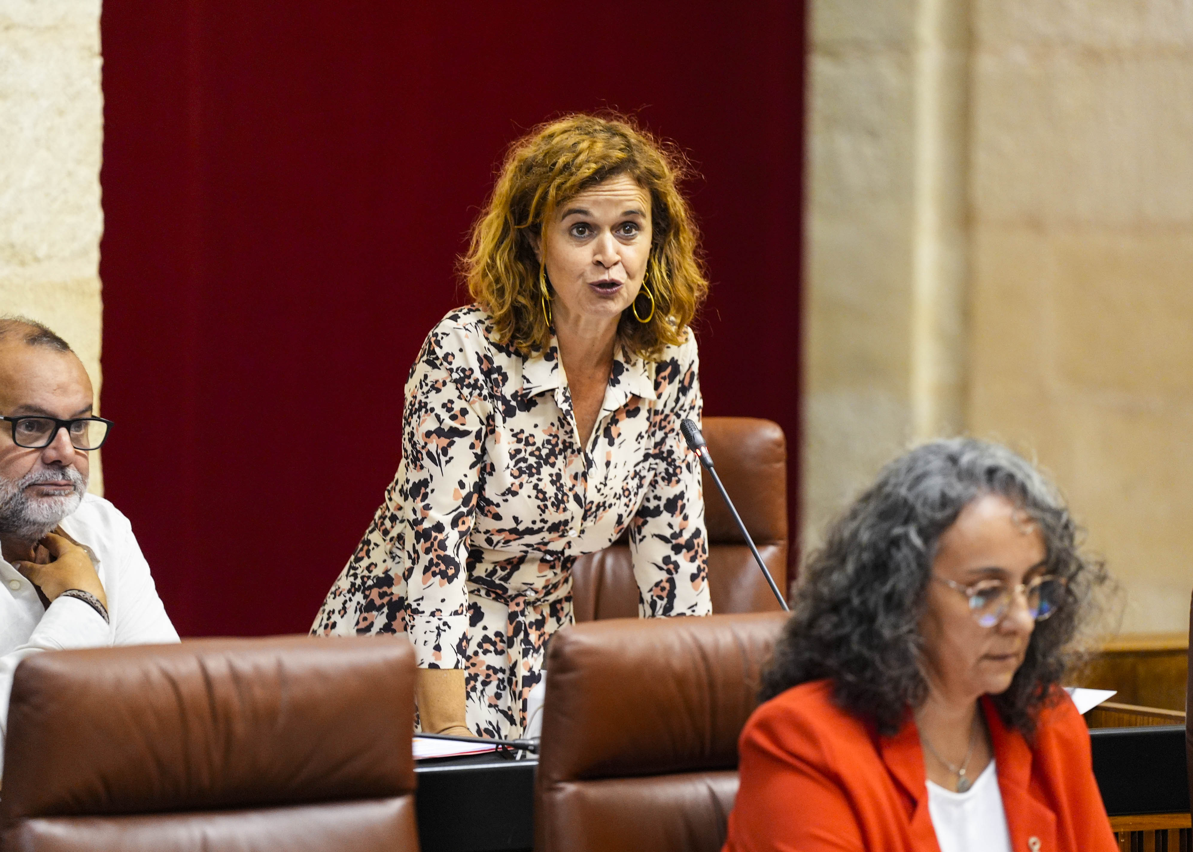 La diputada Esperanza G�mez formula su pregunta al Gobierno