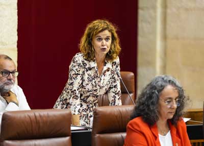 La diputada Esperanza G�mez formula su pregunta al Gobierno