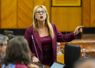  La consejera Carolina Espa�a responde a las preguntas de los grupos pol�ticos