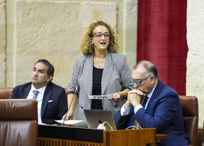  La diputada popular Rosa Mar�a Fuentes pregunta al Gobierno