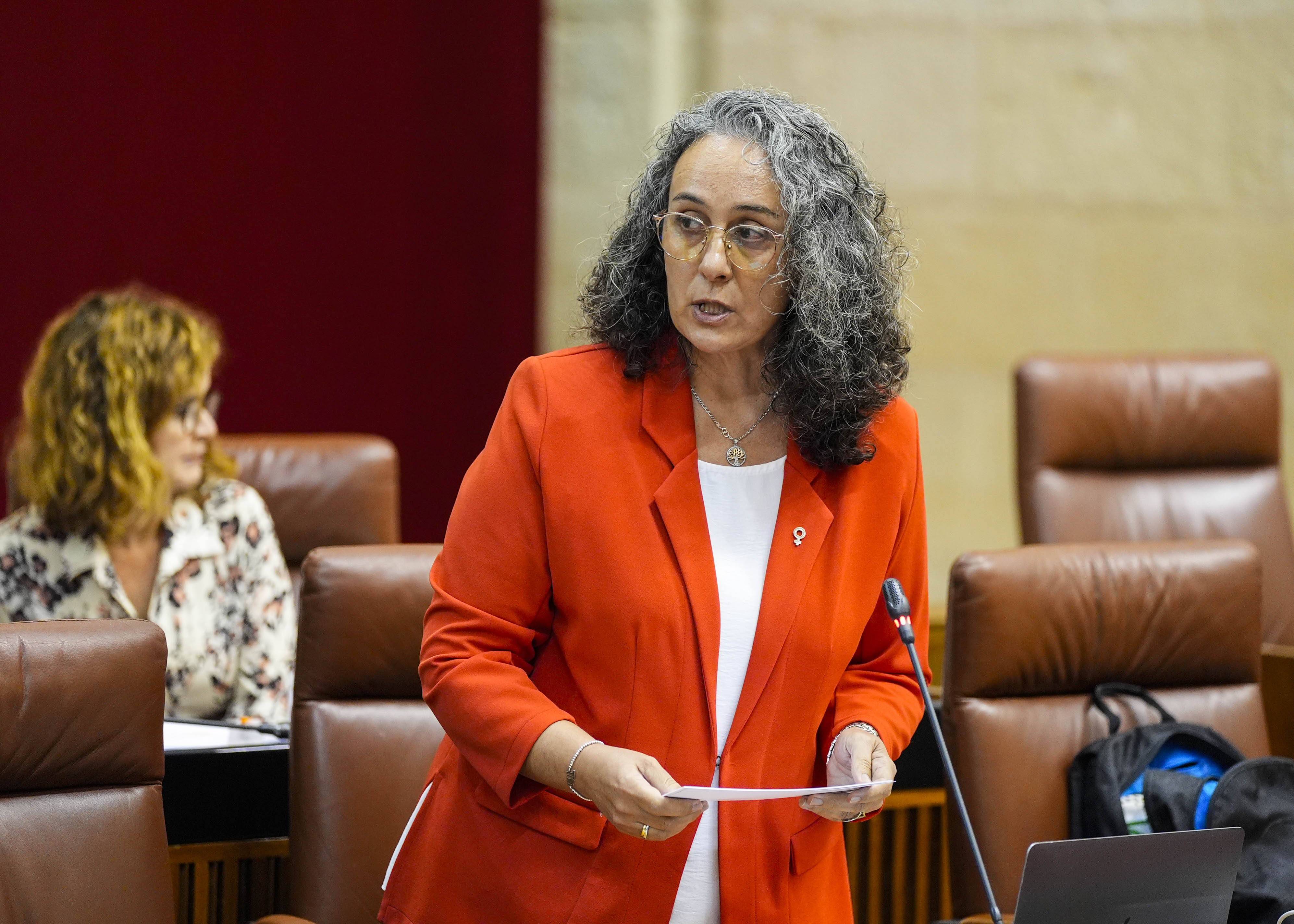  La diputada de Por Andaluc�a Rosa Mar�a Rodr�guez formula una pregunta en el Pleno