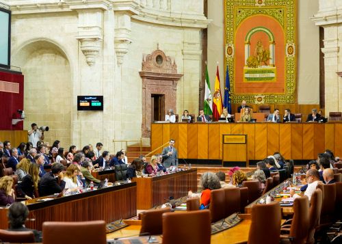   El Pleno del Parlamento asiste a la sesi�n de control al Gobierno