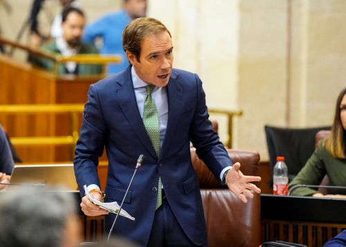  Javier Cort�s, portavoz de Vox, formula su pregunta al presidente