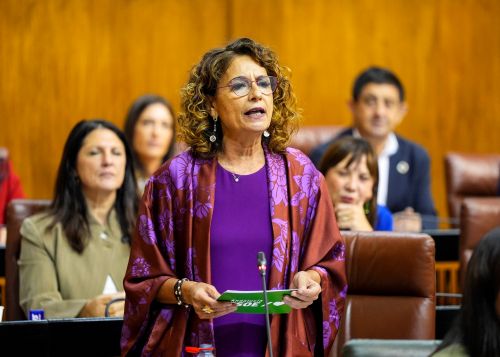  Mar�a Jes�s Montero, portavoz del PSOE, se dirige al presidente de la Junta