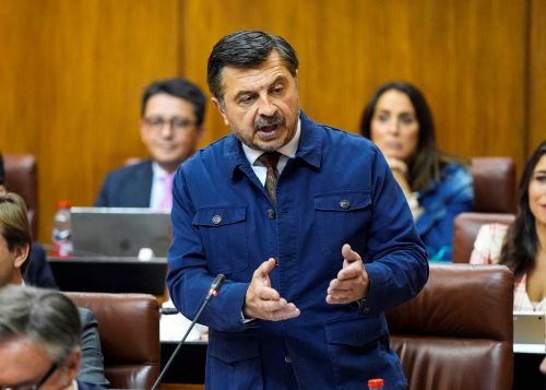  El portavoz del Grupo Popular, Antonio Mart�n, durante su intervenci�n