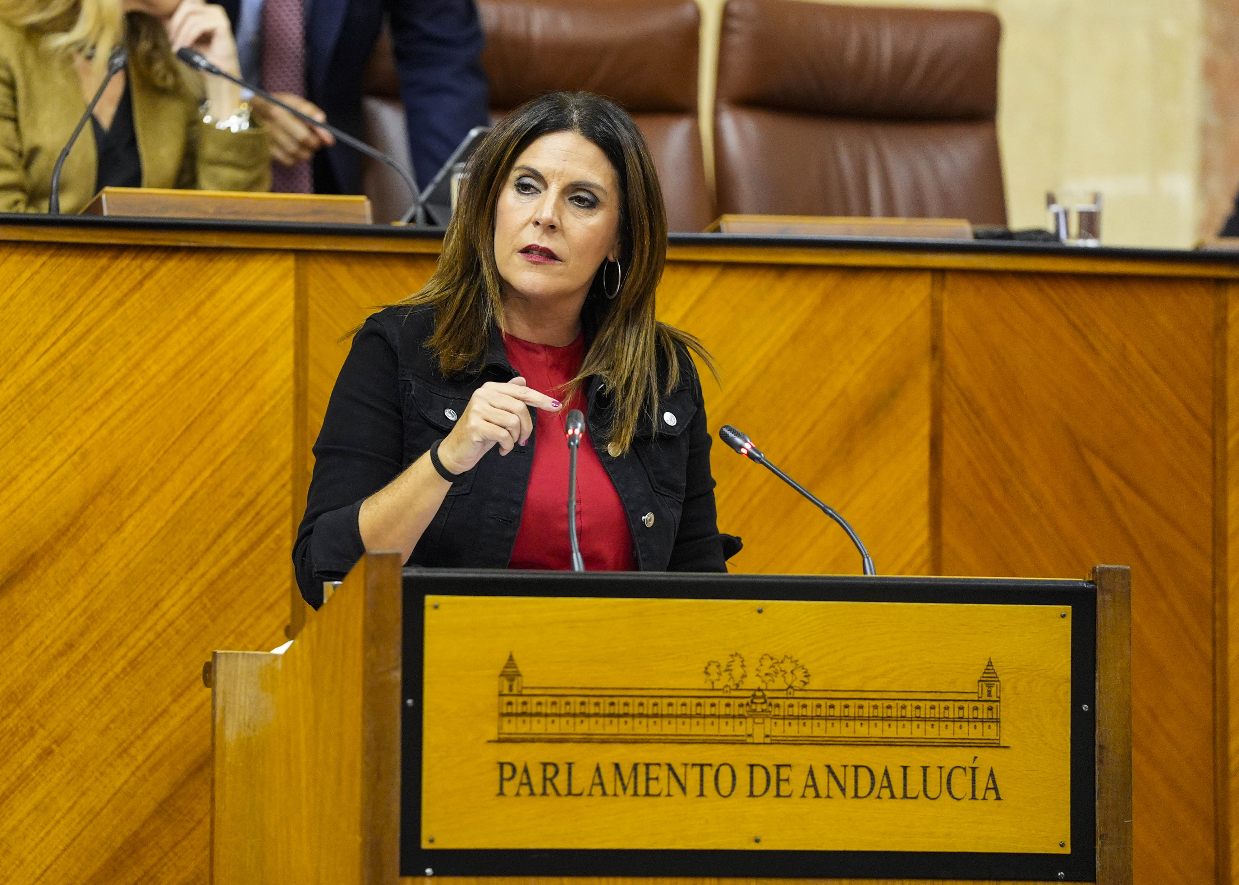  La diputada �ngeles F�rriz defiende la propuesta de creaci�n de una comisi�n de investigaci�n sobre la gesti�n del sistema de detecci�n precoz del c�ncer