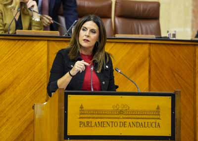 La diputada �ngeles F�rriz defiende la propuesta de creaci�n de una comisi�n de investigaci�n sobre la gesti�n del sistema de detecci�n precoz del c�ncer