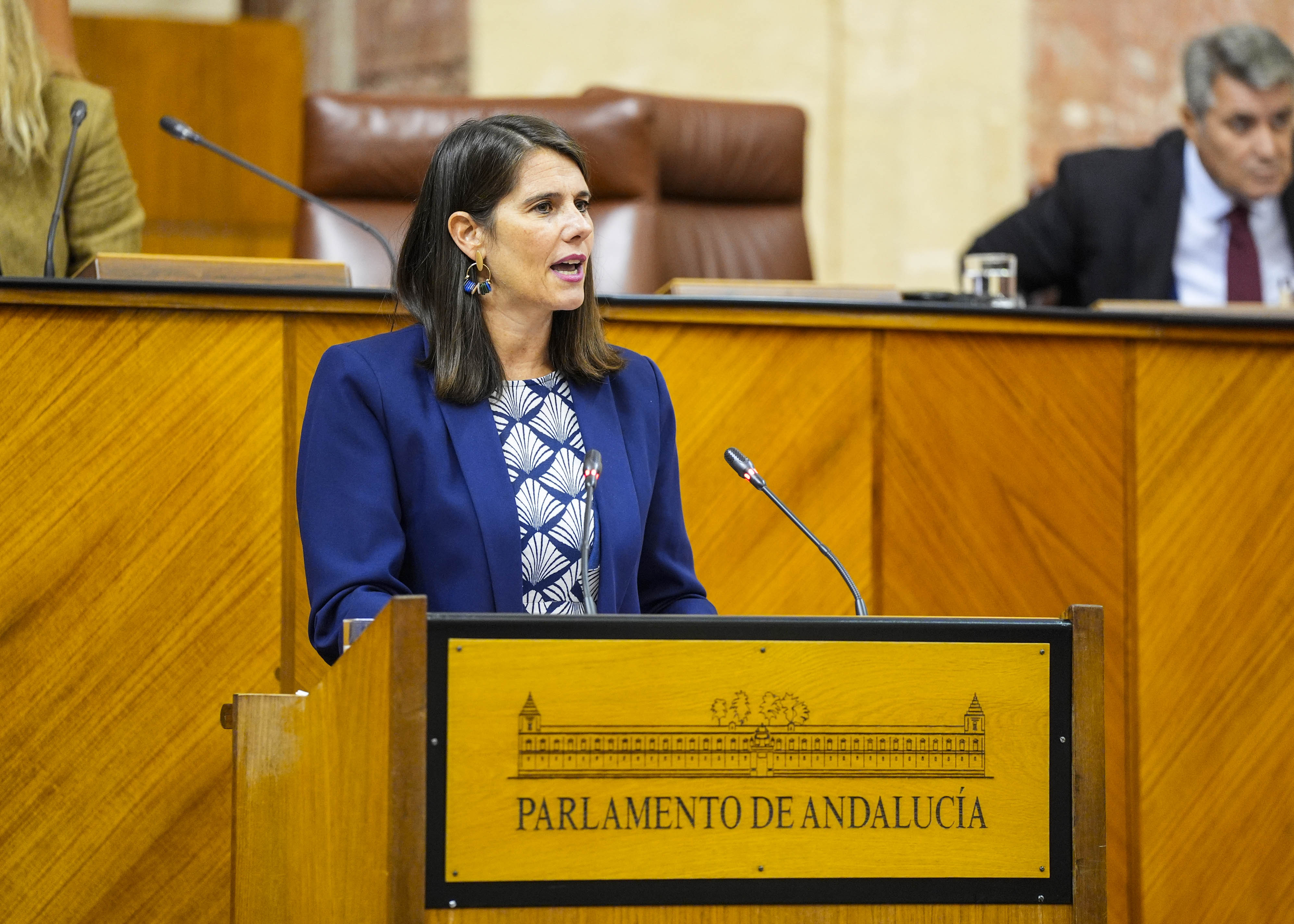  La diputada popular Araceli Cabello defiende la PNL sobre el sector agrario