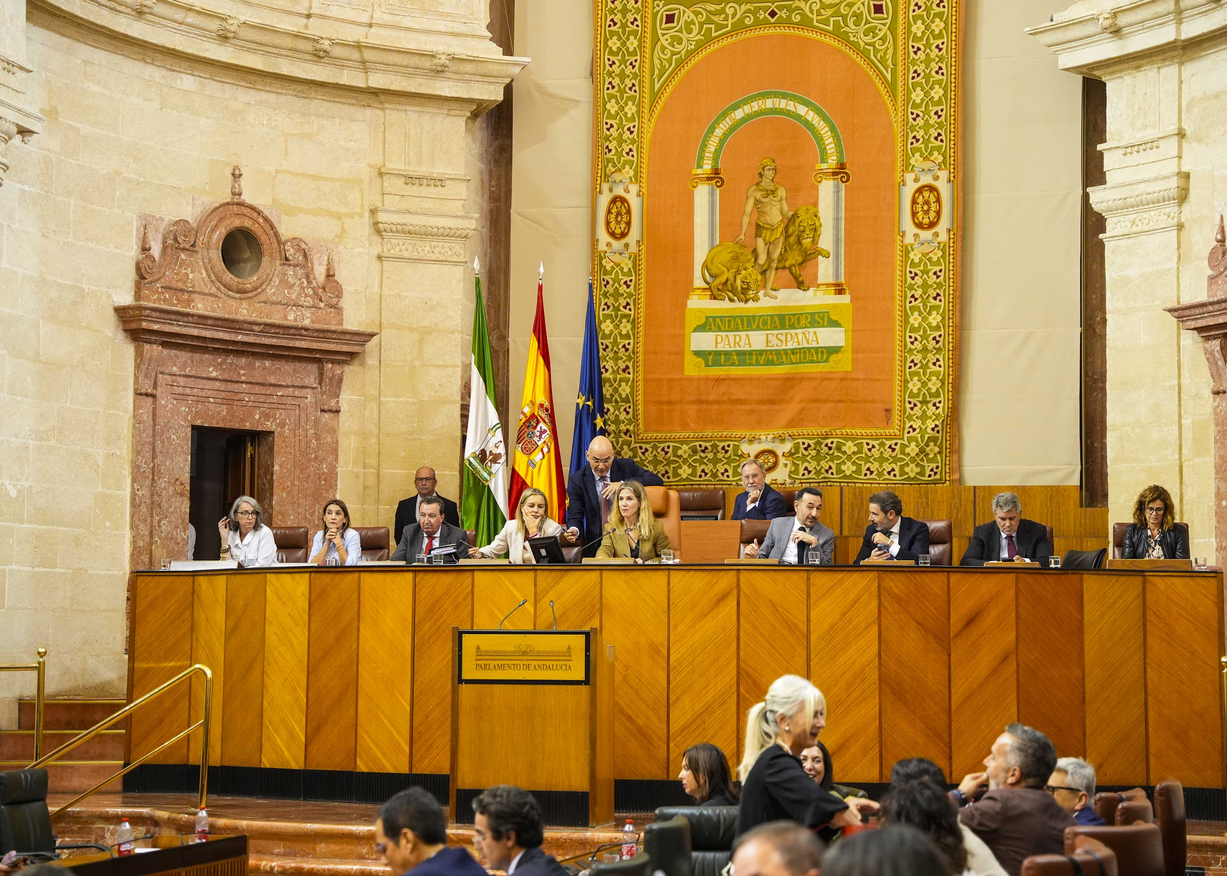  La Mesa durante las votaciones de la sesi�n