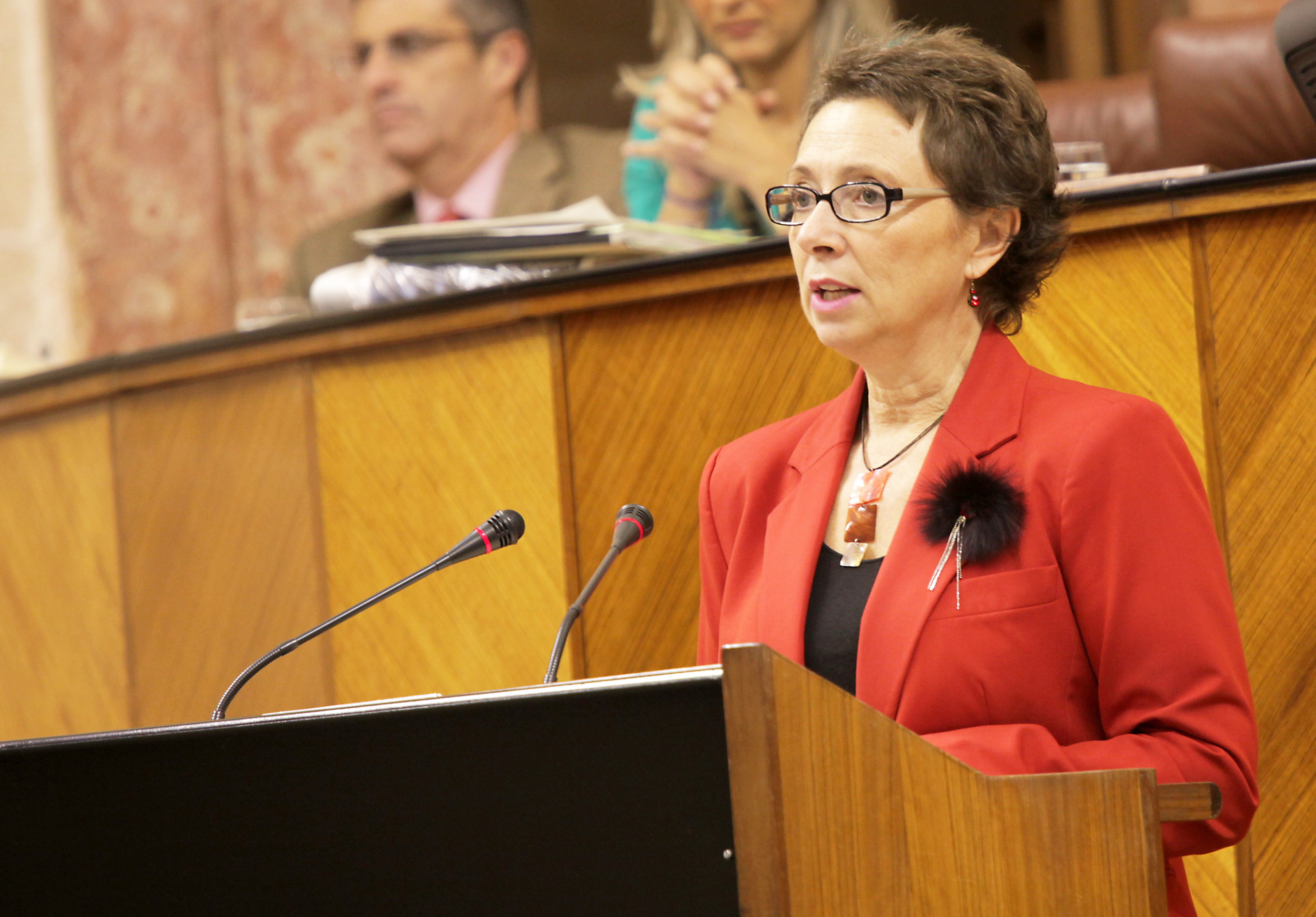 La consejera de Hacienda y Administracin Pblica, Carmen Martnez Aguayo, presenta ante el Pleno el proyecto de Ley de Presupuesto